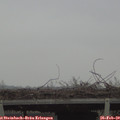 16_20-mast.jpg