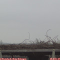 16_25-mast.jpg