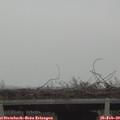 16_30-mast.jpg