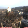 07_35-nest.jpg