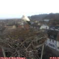 07_55-nest.jpg