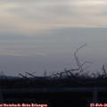 08_00-mast.jpg
