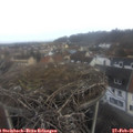 08_00-nest.jpg