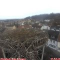 08_05-nest.jpg