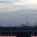 08_10-mast.jpg
