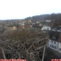 08_10-nest.jpg