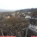 08_20-nest.jpg