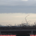 08_30-mast.jpg