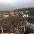 08_35-nest.jpg