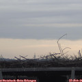 08_40-mast.jpg