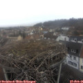 08_40-nest.jpg