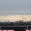 08_45-mast.jpg