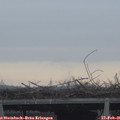 08_50-mast.jpg