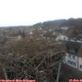 08_50-nest.jpg
