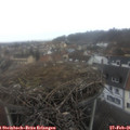 08_55-nest.jpg