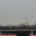09_00-mast.jpg
