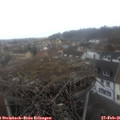 09_00-nest.jpg