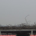 09_15-mast.jpg