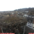 09_15-nest.jpg