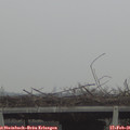 09_25-mast.jpg