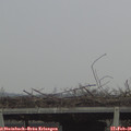 09_30-mast.jpg