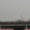 09_35-mast.jpg