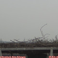 09_40-mast.jpg