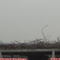 09_45-mast.jpg