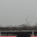 09_50-mast.jpg