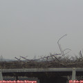 10_00-mast.jpg