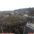 10_05-nest.jpg
