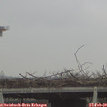 10_15-mast.jpg