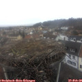 10_15-nest.jpg