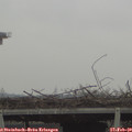 10_20-mast.jpg
