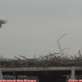 10_25-mast.jpg