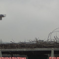 11_05-mast.jpg