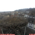 11_05-nest.jpg