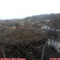 11_25-nest.jpg