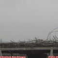11_30-mast.jpg