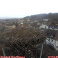 11_30-nest.jpg