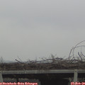 11_35-mast.jpg