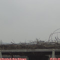 11_40-mast.jpg