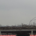 11_50-mast.jpg