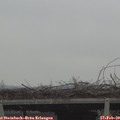 11_55-mast.jpg