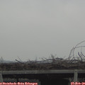 12_00-mast.jpg
