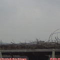 12_05-mast.jpg