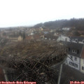 12_05-nest.jpg