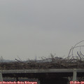 12_10-mast.jpg