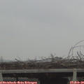 12_15-mast.jpg
