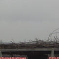 12_25-mast.jpg